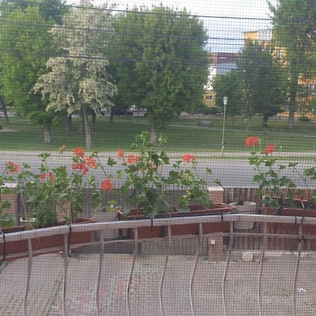 Отель Casa Maia Турда Экстерьер фото